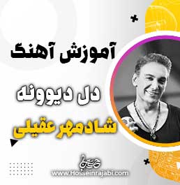 آهنگ دل دیوونه از شادمهر